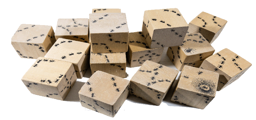 ant blocks