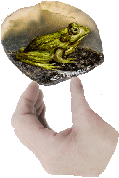 hand and frog
