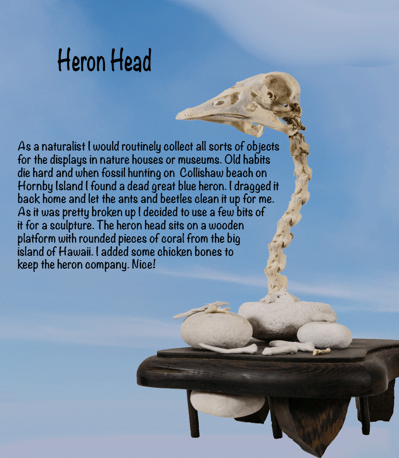 new heron head