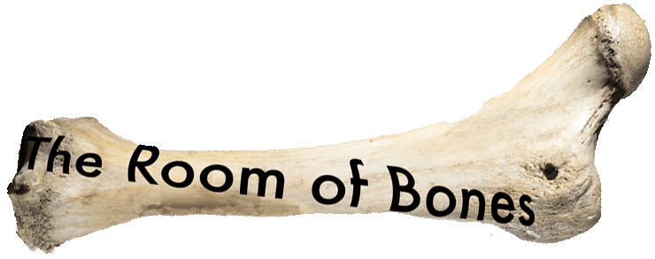 room of bones